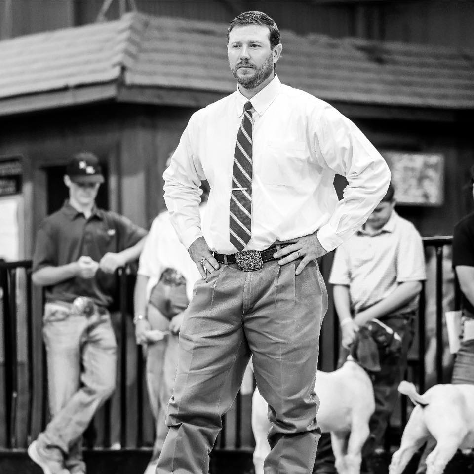 A livestock judge evaluating goats in the show ring