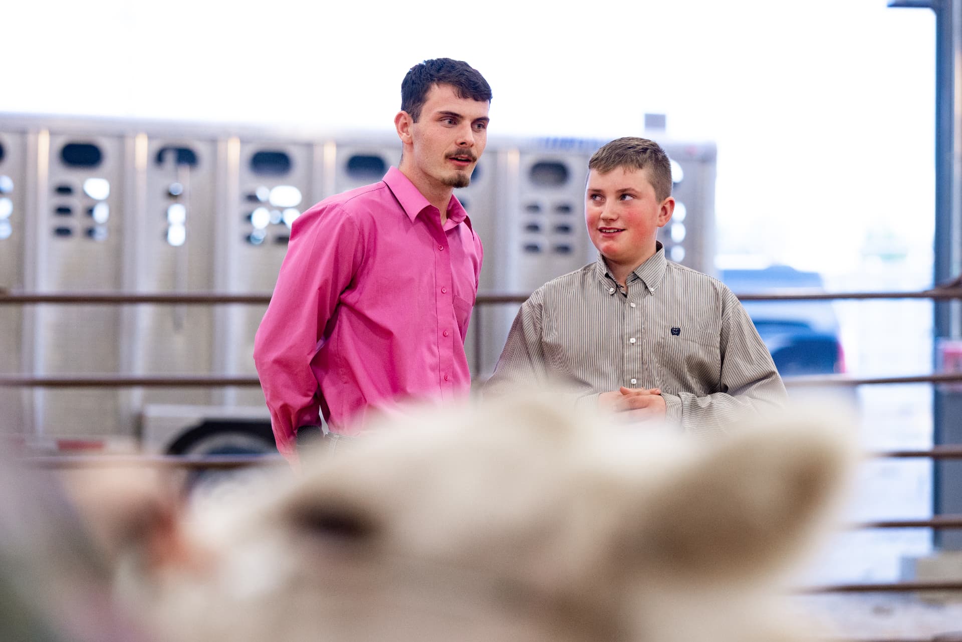 Combat Zone Classic livestock show